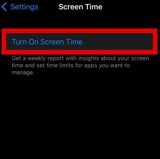 screen on time iphone